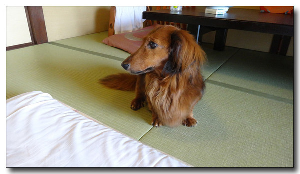 20140512203105.jpg