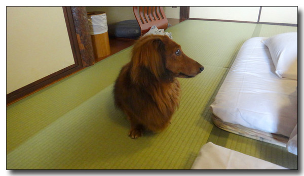 20140512203106.jpg