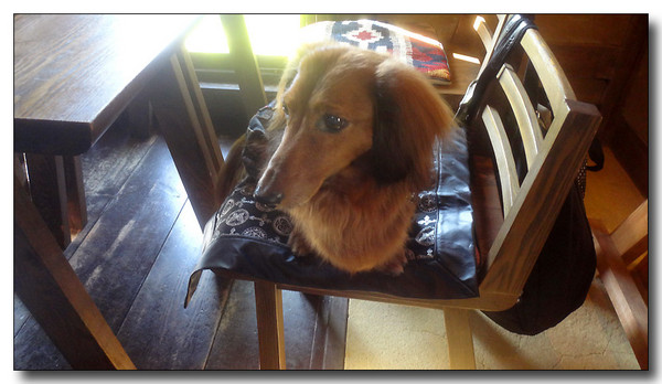 20140513190428.jpg