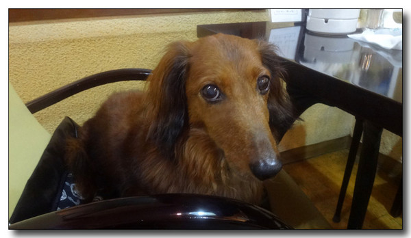 20140514105201.jpg