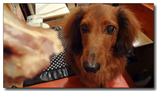 20130721182008.jpg