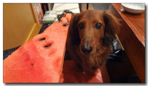 20130721182030.jpg
