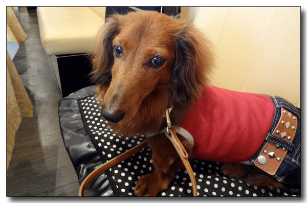 20130721183346.jpg