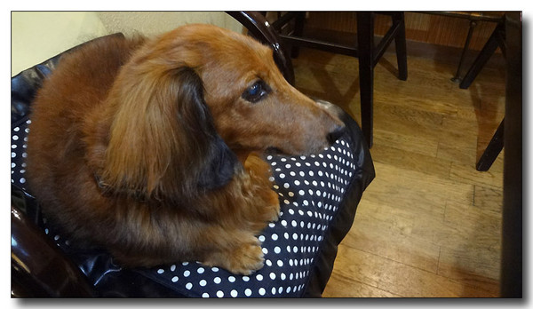 20130721185626.jpg