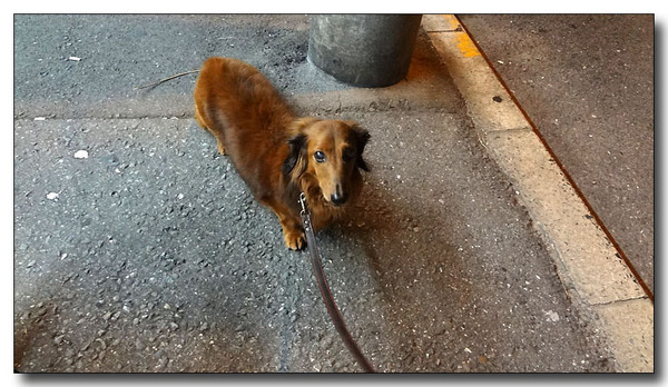 20130721185630.jpg