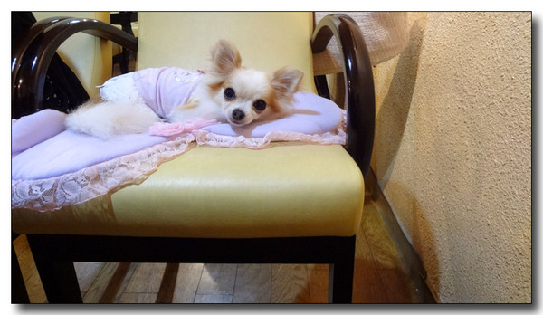20130721194108.JPG