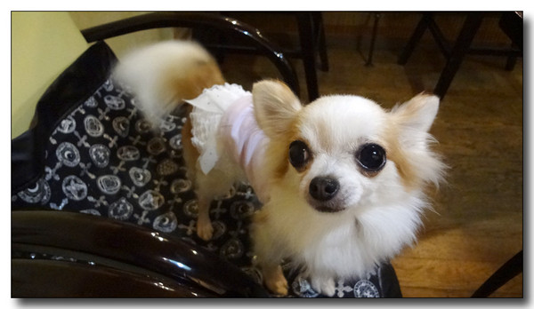 20130721194308.JPG