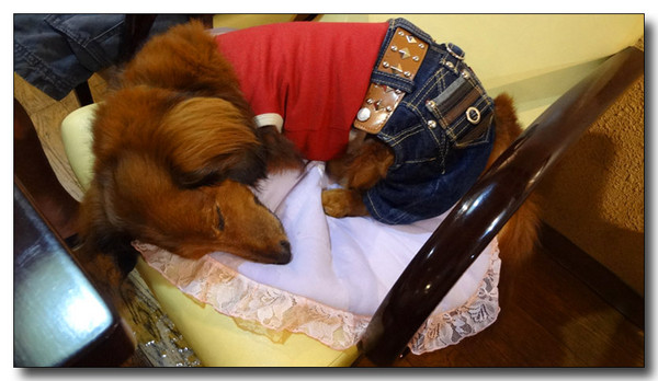20130721194335.jpg