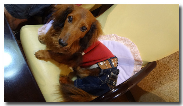 20130721194336.jpg