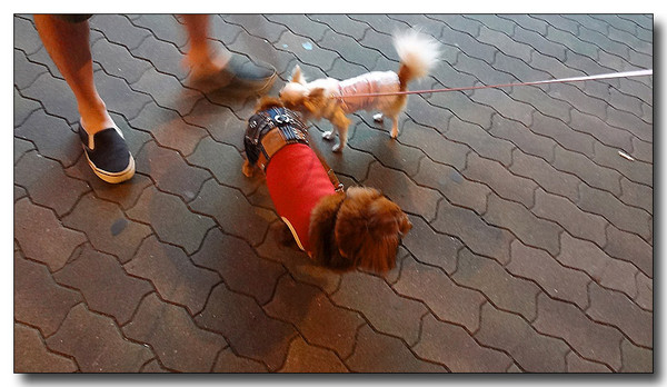 20130721194337.jpg