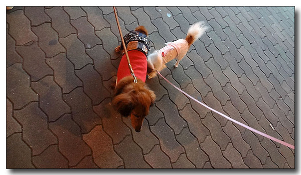 20130721194338.jpg
