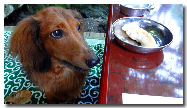 20130722084336.jpg