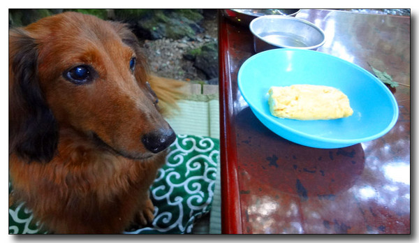 20130722084337.jpg