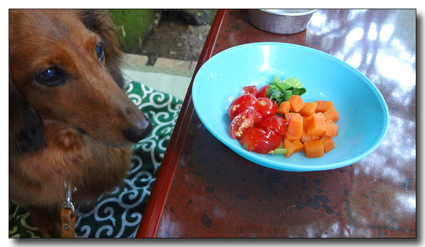 20130722084338.jpg