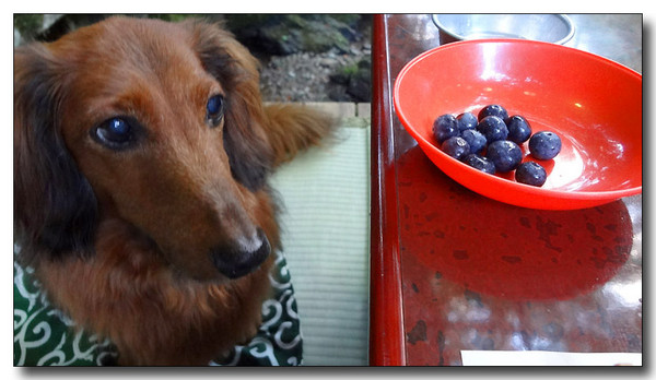 20130722084423.jpg