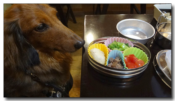 20130811010843.jpg