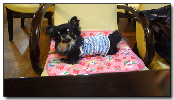 20130811185411.JPG