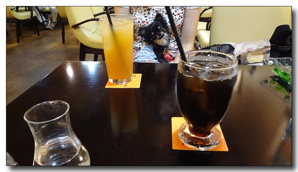 20130811185415.JPG