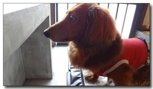 20130811200642.jpg
