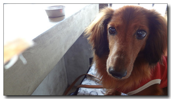 20130811200723.jpg