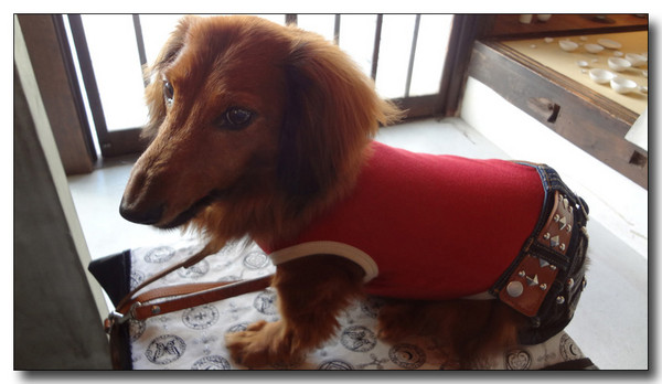 20130811200726.jpg