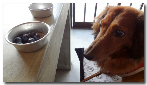 20130811200857.jpg