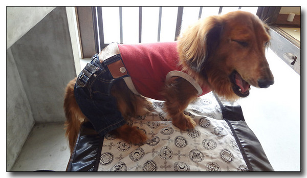 20130811200934.jpg