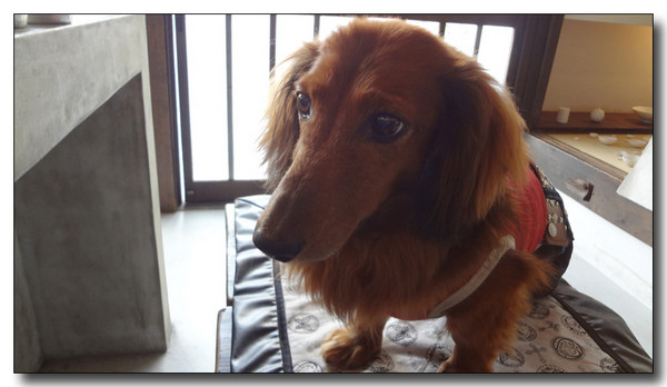 20130811201002.jpg