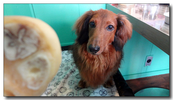20130811202531.jpg