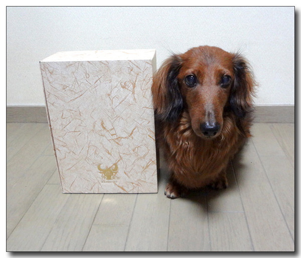 20130811202921.jpg