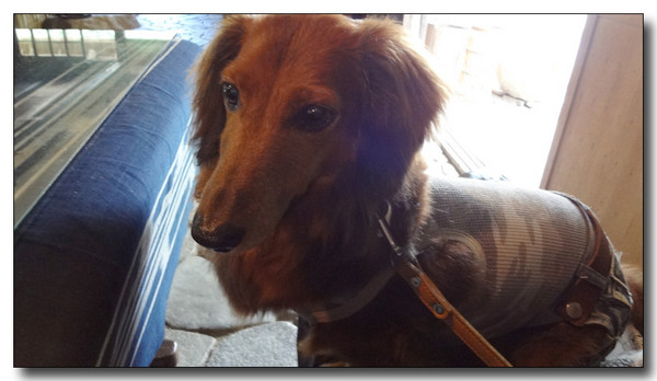20131004210517.jpg