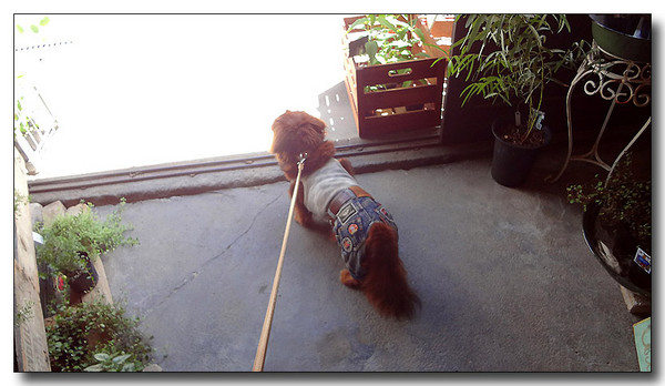 20131004232556.jpg