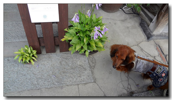 20131005133222.jpg