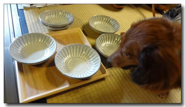 20131005133313.jpg