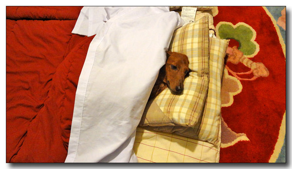 20131007100545.jpg