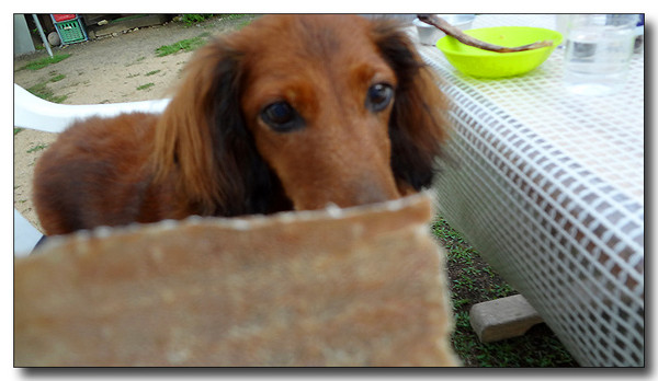 20131007103319.jpg