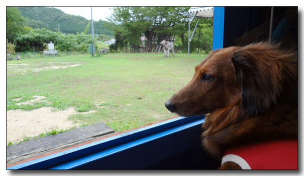 20131007111528.jpg