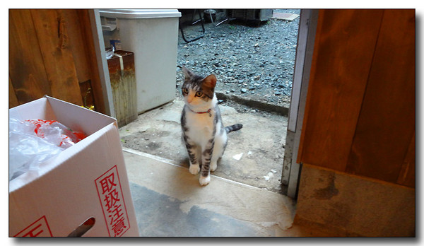 20140330063353.JPG