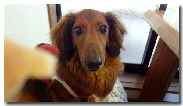 20140330075450.jpg