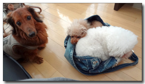 20140331230608.jpg