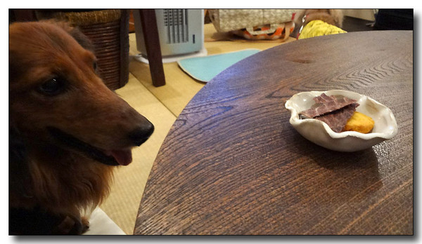 20140401100537.jpg