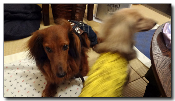 20140401100642.jpg
