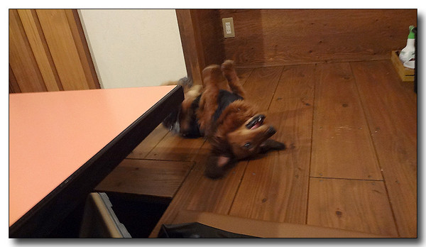20130627080817.jpg