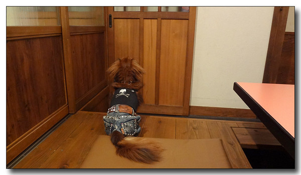 20130627080819.jpg