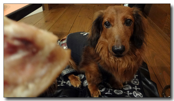 20130627081006.jpg
