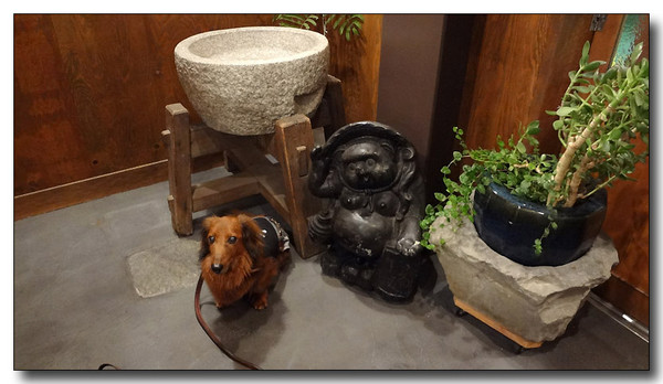 20130627081050.jpg