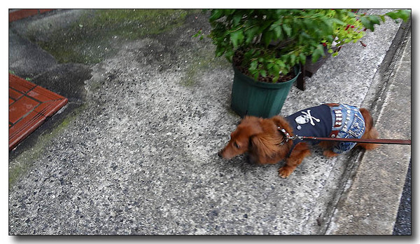 20130703220004.jpg