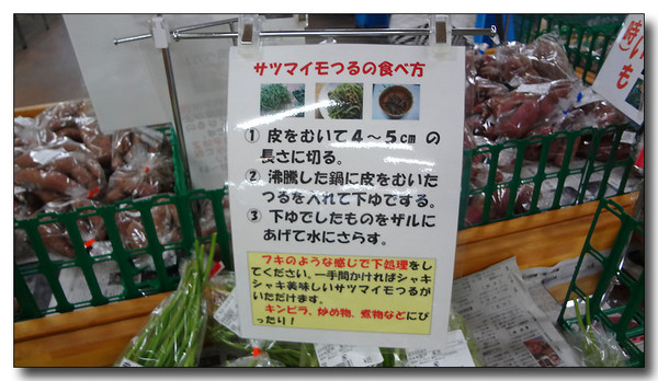 20130703221849.JPG