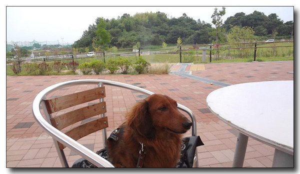 20130703221921.jpg