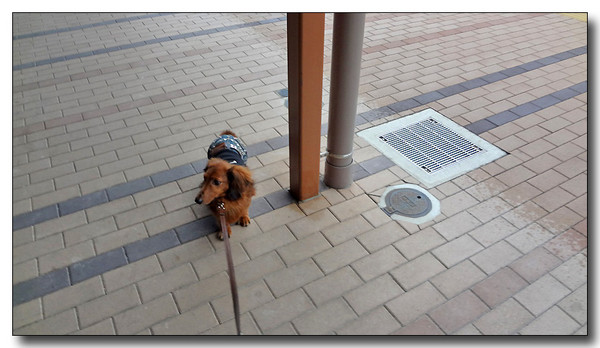 20130703221933.jpg